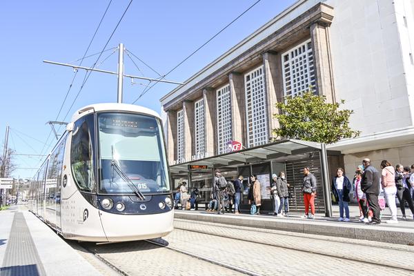 En septembre, des lignes de bus pour remplacer la LER