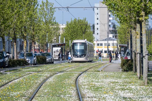 L’environnement au cœur du projet